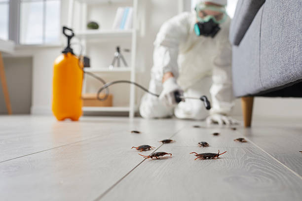 Commercial Kitchen Cockroach Control in St. Clairsville